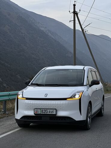 электромобили из китая: FAW : 2023 г., Электромобиль