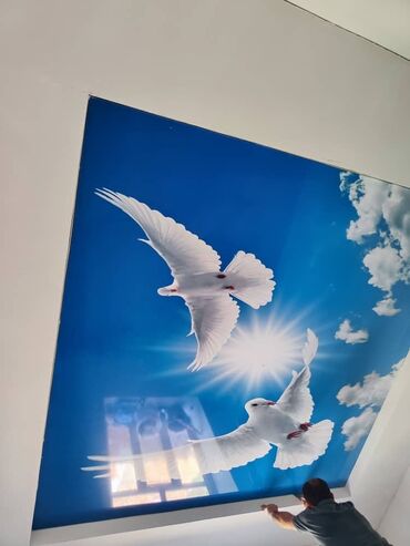 Натяжной потолок: Натяжной потолок 3D потолки, Глянцевое, Матовое Гарантия, Бесплатный замер, Бесплатная консультация — 7