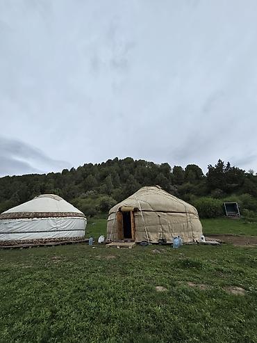Аренда юрт: Эко‑глэмпинг в юртах на природе - Проживание в традиционных юртах на — 7