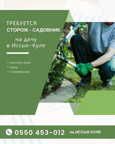 официант кафе: Требуется сторож, садовник на Иссык-Куле Ищу сторожа садовника на