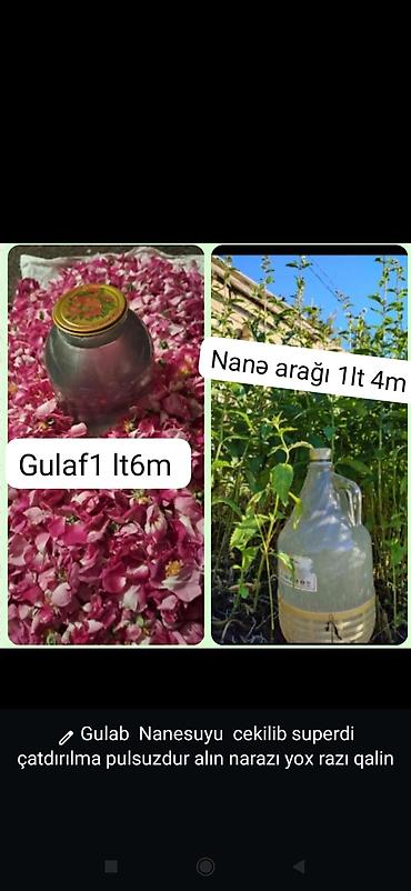 yumurta sekilleri: Məhsul: Gülab (gül suyu) və nanə arağı - Gülab – 1 litr: 6 m - Nanə — 1