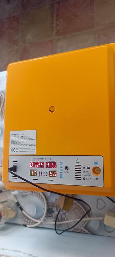 Kənd təssərüfatı avadanlığı: Tam avtomatik inkubator 120 ədədli - Rəqəmsal idarəetmə paneli — 1