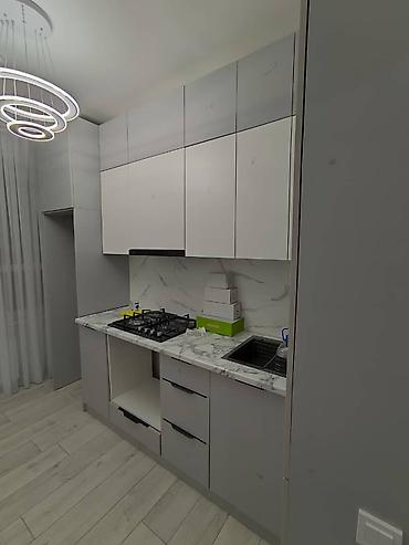 silver kitchen: Кухонный гарнитур в современном стиле, линейная планировка — 3