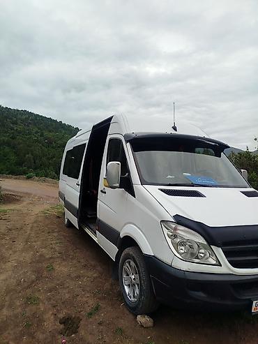 w463 g class: Количество мест: 18, Лицензия №: 08В006364 — 1