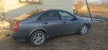 грунтовка для авто: Nissan Primera: 2004 г., 1.8 л, Механика, Бензин, Седан — 2
