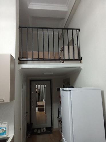 токмакская: 1 комната, 28 м², Аламедин-1 мкр Индивидуалка, 9 этаж, Евроремонт — 6
