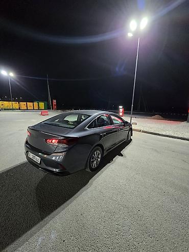 диски hyundai r19: Hyundai Sonata: 2019 г., 2 л, Автомат, Газ, Седан — 1