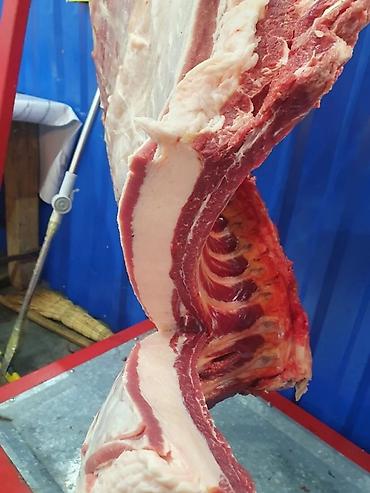 карты: Тай Эти.Заказ алабыз Уйлонуу той, Куран окутуу, Кыз узатуу. Устукандап — 7
