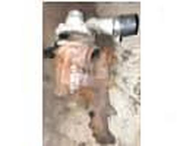 Turbine: TURBINA ZA FORD C-MAX, FIESTA, FOCUS . OD 1999. DO 2004. GOD. | — 27