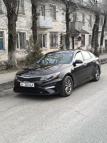 авто подборщик: Kia Optima: 2019 г., 2.4 л, Автомат, Бензин, Седан — 4