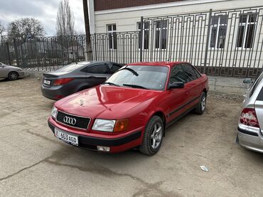 Audi: Audi 100: 1991 г., Седан — 15