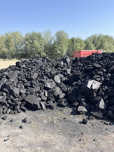уголь на: Комур кара кече беш сары Гос Тонна 6500 сом Доставка бар… Адрес — 1