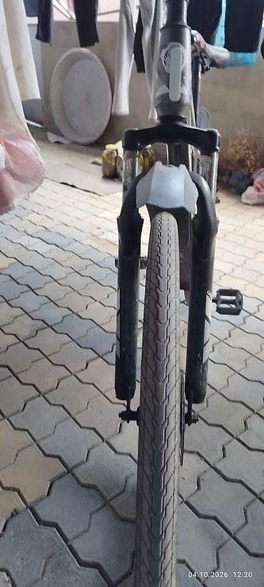 velosiped tekeri satisi: İşlənmiş Şəhər velosipedi 29", sürətlərin sayı: 1, Ödənişli çatdırılma — 3