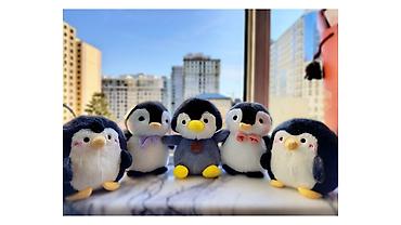 Oyuncaqlar: Oyuncaqlar — 1