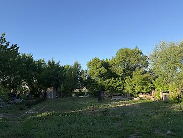 Продажа коттеджей и домов: Продаётся жилой дом. - Большой зелёный участок с деревьями и — 8