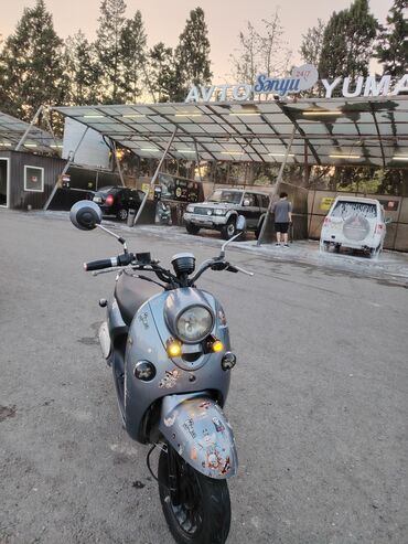 moped bagaj: - pollo, 50 sm3, 2023 il, 7000 km