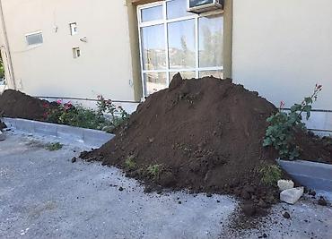 taxta evlerin satisi ve tikilmesi: Qara Torpaq Və Peyin Torpaq Satışı: Kənd təsərrüfatı, bağçılıq və ya — 3