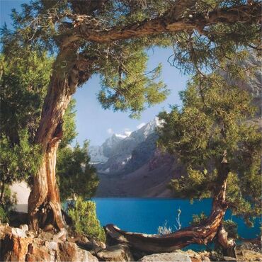 Фотообои: 🎁 АКЦИЯ! Клей белекке! 🎁 5 м²ден жогору фотообоига заказ берсеңиз – — 18