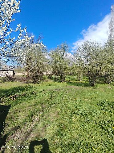 Torpaq sahələrinin satışı: Azərbaycanın ən gözəl guşələrindən biri olan Oğuz rayonu Xaçmaz — 12