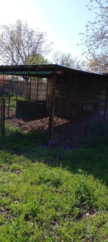 Həyət evləri və villaların satışı: Goranboy r-nu Nizami kəndi ( Gəncədən 15 km) 3 otaqlı ev ( böyük otağı -da lalafo.az — 12 Həyət evləri və villaların satışı: Goranboy r-nu Nizami kəndi ( Gəncədən 15 km) 3 otaqlı ev ( böyük otağı — 12