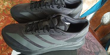 adizero: Мужские кроссовки, 42, Adidas, Новый, цвет - Черный, Самовывоз — 1
