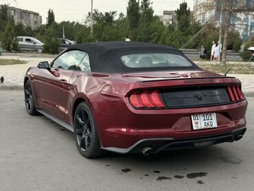 Ford: Ford Mustang: 2018 г., 2.3 л, Автомат, Бензиновая, Кабриолет — 7