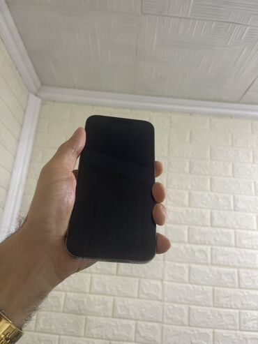 i̇pona: IPhone 13 Pro Max, Natural Titanium