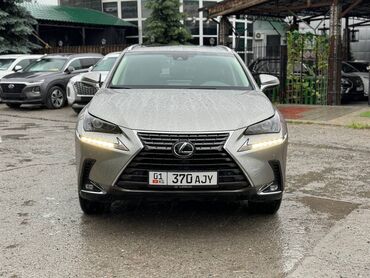 lexus 450d: Lexus NX: 2019 г., 2 л, Автомат, Бензин, Кроссовер