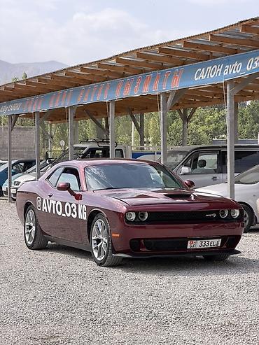 го парк: Dodge Challenger: 2020 г., 3.6 л, Автомат, Бензин, Купе — 6