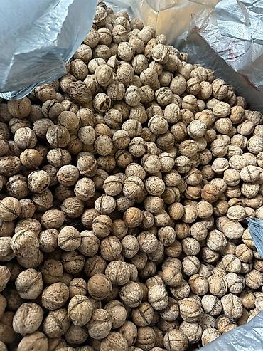 балык кумар: Грецкий орех в скорлупе - Натуральные грецкие орехи нового сбора в — 1