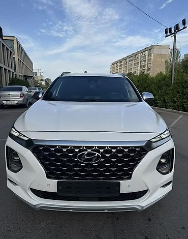 Hyundai Santa Fe: 2020 г., Кроссовер