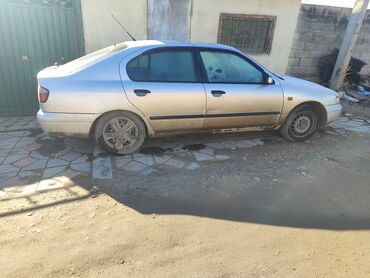 лампа бу: Nissan Primera: 1997 г., 2 л, Механика, Дизель, Универсал