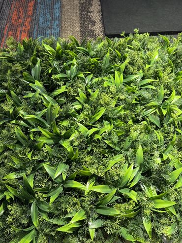 Süni güllər: Dekorlarin topdan ve perekende satisi — 4