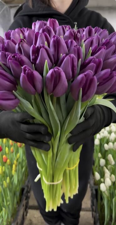 Цветы и букеты: Тюльпаны Оптом 🌼️ Хочешь покорить сердца миллионами улыбок? Начни с — 6