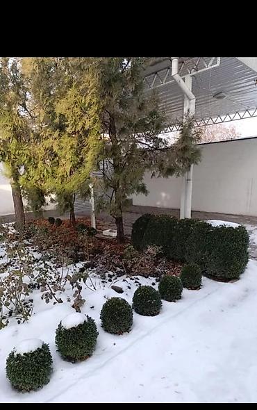 Продажа домов: Дом, 320 м², 9 комнат, Агентство недвижимости, Евроремонт — 15