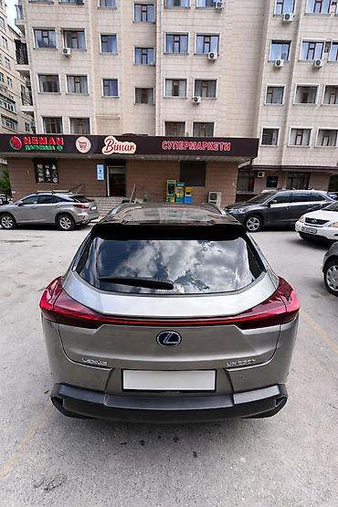 saf: Lexus UX: 2019 г., 2 л, Автомат, Гибрид, Кроссовер — 2