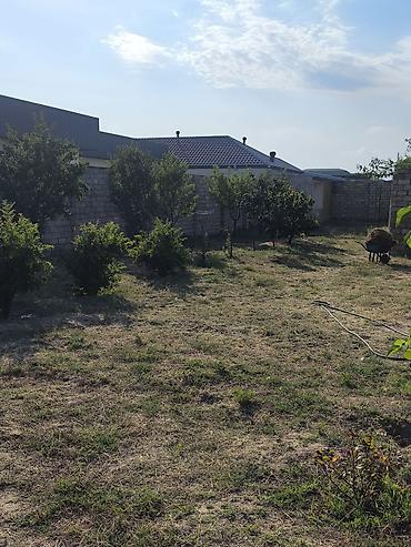 zabor: 12 sot torpaq Qala Şüvəlan yolun üzərində Məhsul: Həyət/bağ sahəsi — 2