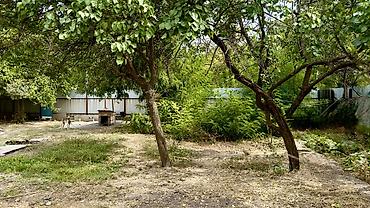 Продажа коттеджей и домов: 2 комнаты, 46 м², 1500 соток, Сокулук, Собственник — 16