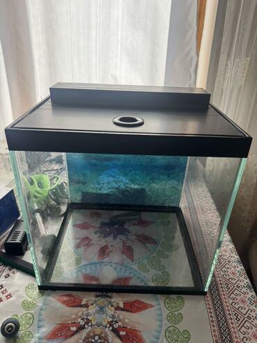 Akvariumlar: Akvaryum dəsti 1 akvaryum tezedi qalan herwey iwlenmiwdi ekseryeti az — 1