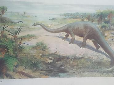 Ev üçün dekor: Məhsul: Dinozavr mövzusunda vintage illüstrasiya çapları dəsti — 9