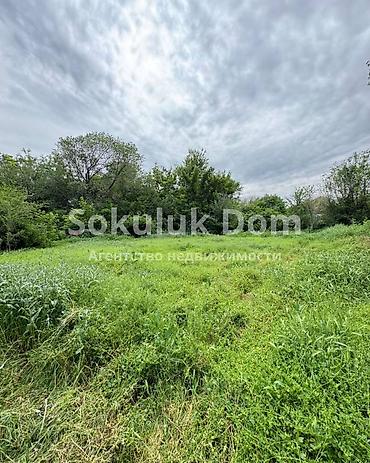 село тон: 🏠Продается дом в с. Сокулук с участком 16 соток, 800 м от трассы. 🟡 — 4