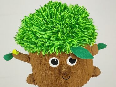 Mascot condition - Very good
