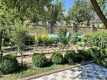 Продажа дач: Торг уместен!!! Продается дачный участок с домом, в Горной Маевке! — 6