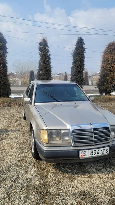 маленький автомобиль: Mercedes-Benz 220: 1993 г., 2.2 л, Автомат, Бензин, Седан