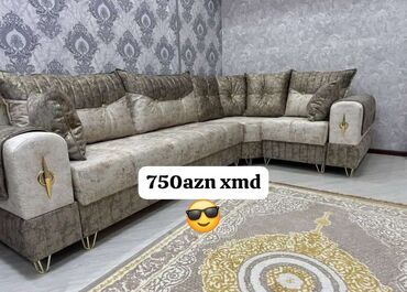 Bitkilər: Künc divan, Yeni