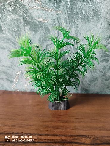 Аквариумы: Аквариум заводской, с крышкой 60 литров, со всеми комплектующими — 23