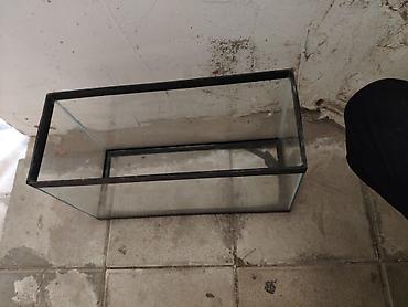 akvarium azn: Şüşə akvarium. Ölçüleri:45 uzunluq 27 hundurluk 18 eni ela — 2