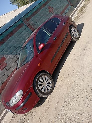 nissan sylphy ev: Nissan Almera: 2001 г., 1.5 л, Механика, Бензин, Хэтчбэк — 3