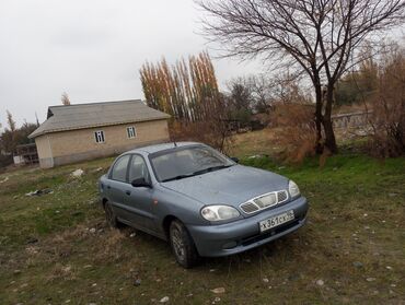 Daewoo: Daewoo Lanos: 2008 г., 1.3 л, Механика, Бензин, Внедорожник