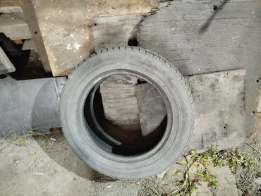 работа на дому в бишкеке набор текста: Резина зима новый 185/65/R15 1шт